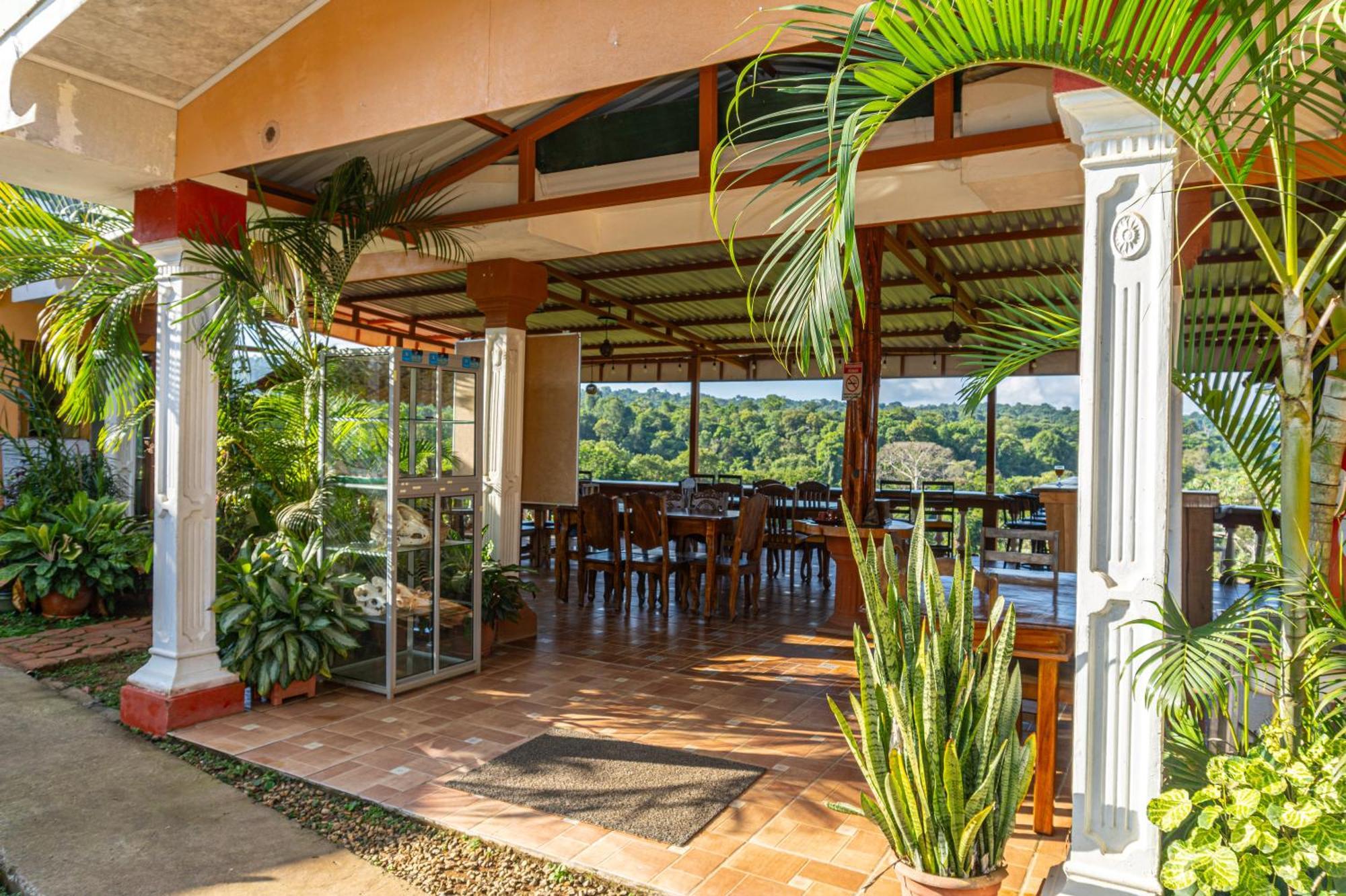 Villa Manolo Ocean And Forest View Hotel Drake Bay Ngoại thất bức ảnh